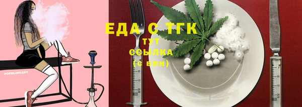 гидра Аша