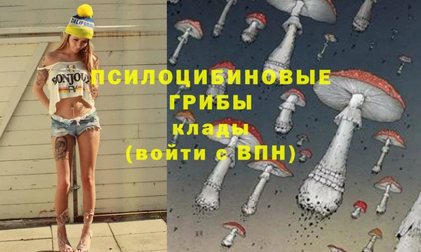 дурь Заволжск
