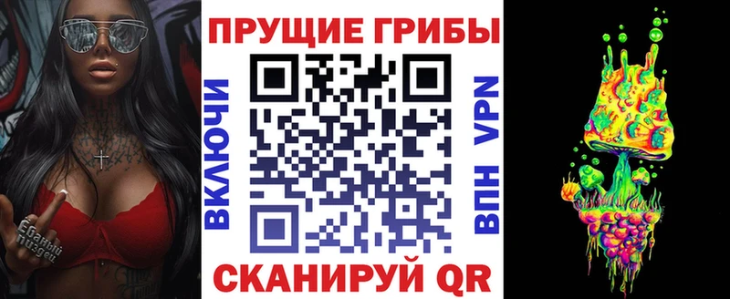 наркошоп  MEGA зеркало  Псилоцибиновые грибы мухоморы  Зеленодольск 